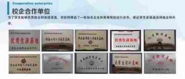 http://www.heb678.com/school-189/document-id-158.html